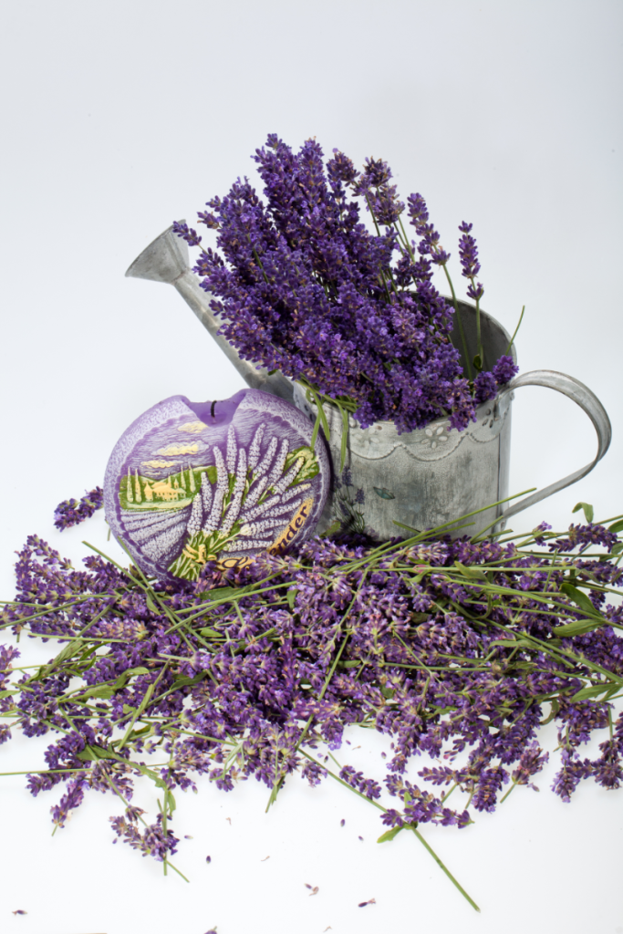 Does Lavender Repel Mice?